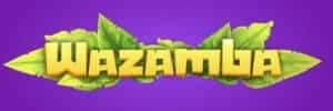 Blaze bonanza
